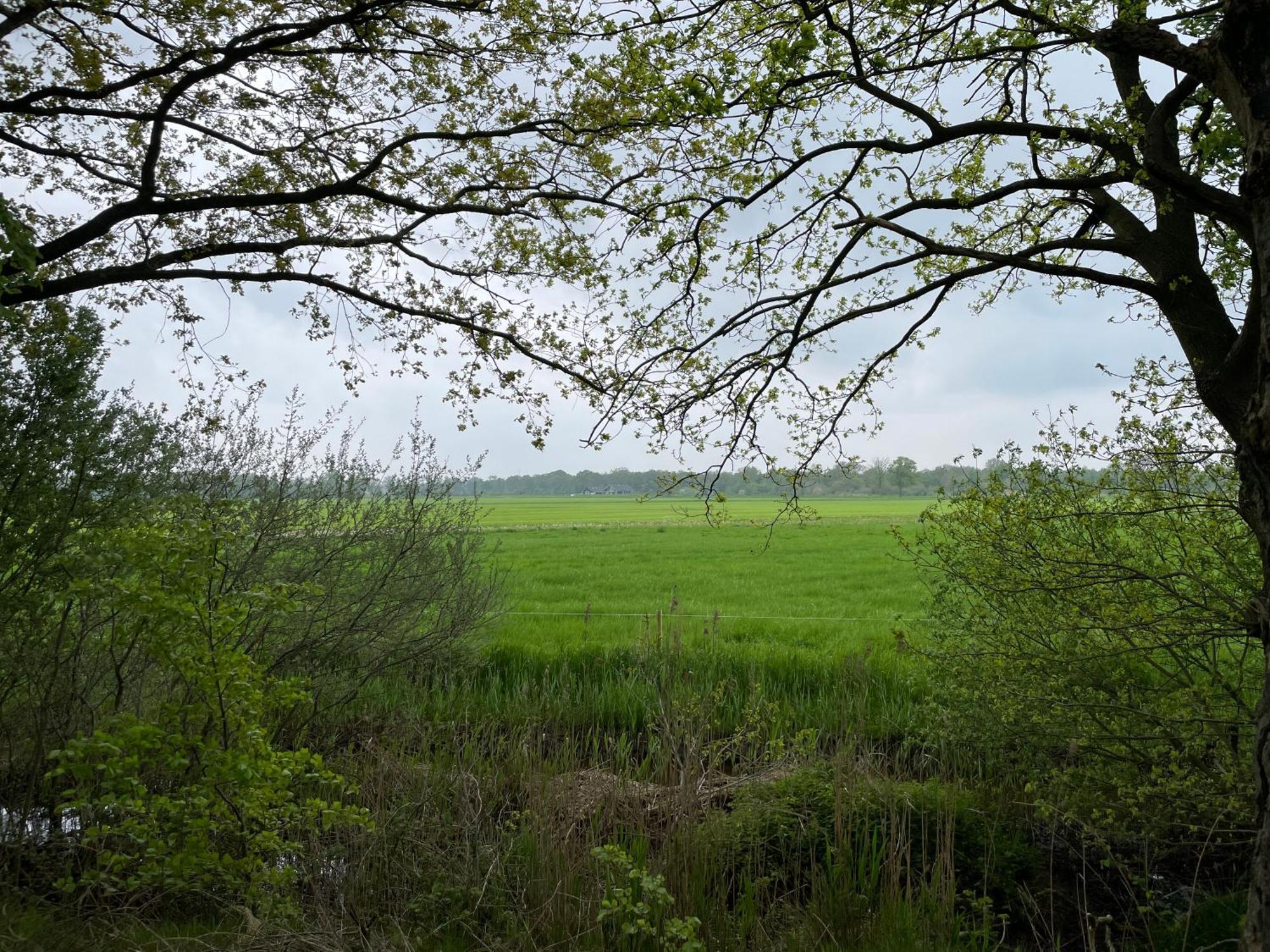 Het Riethuis Holthone Kültér fotó